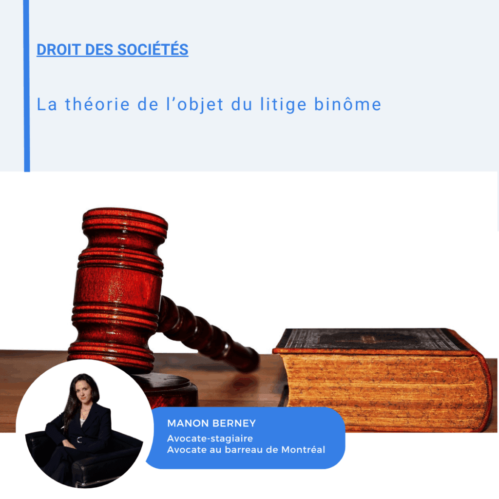 Visuel LinkedIn sur la théorie de l'objet du litige binôme